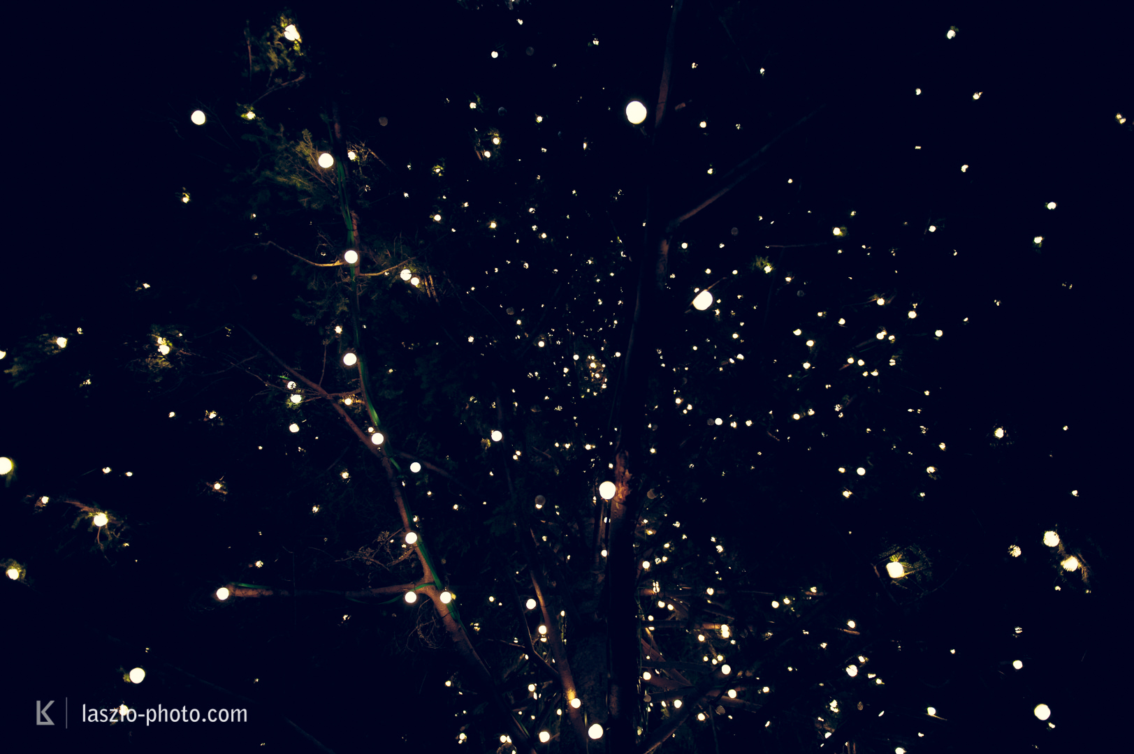 20161209_Weihnachten_Christkindlmarkt-4760